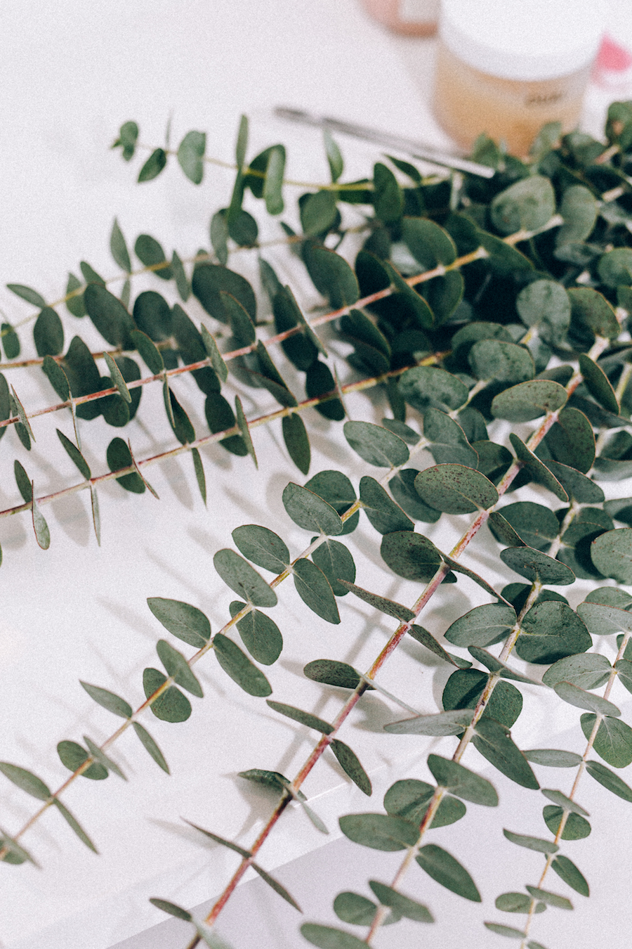 Eucalyptus Shower Essentials shower plants beauty skincare hacks tips spa by tsc