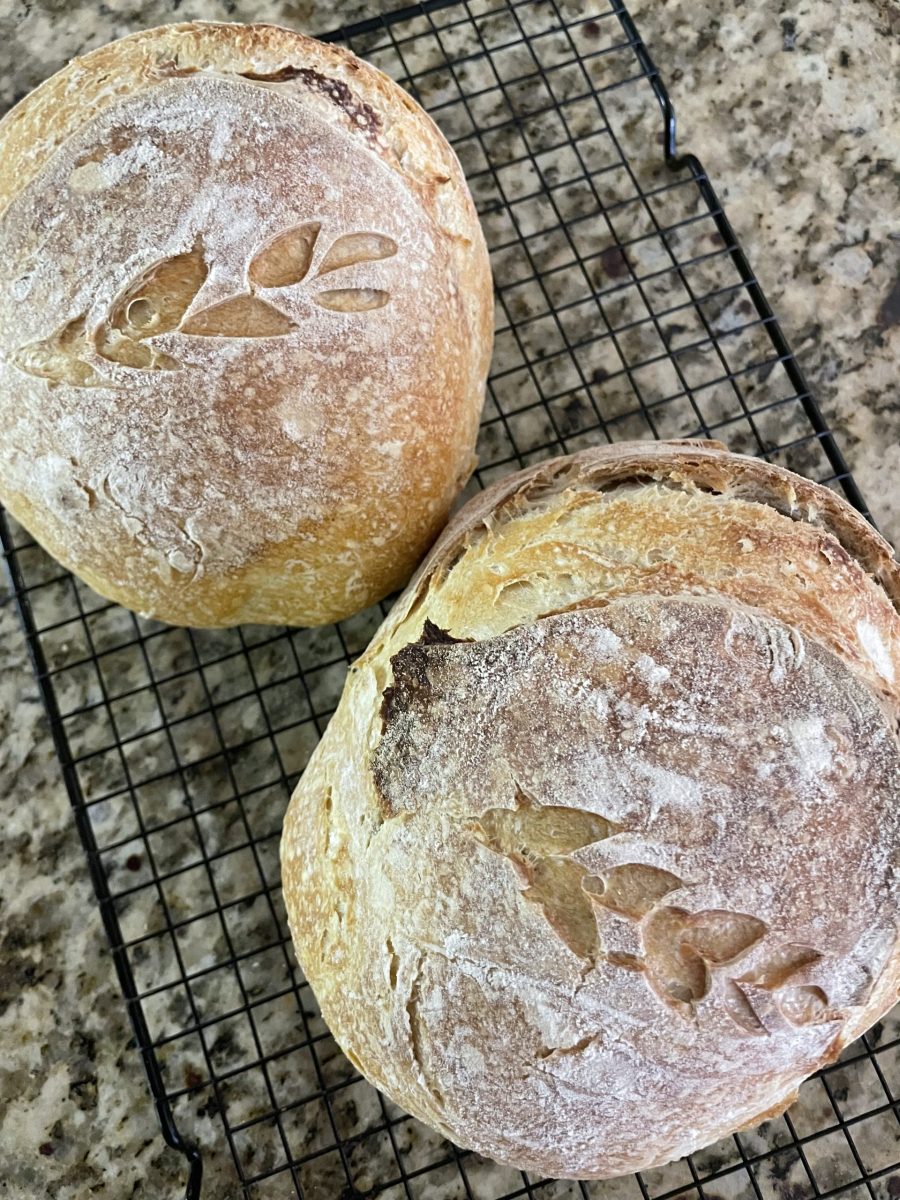 Freshly baked Sourdough Freshly baked Sourdough
