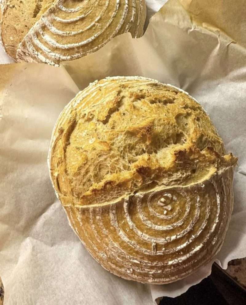 Sourdough for Beginners Sourdough for Beginners