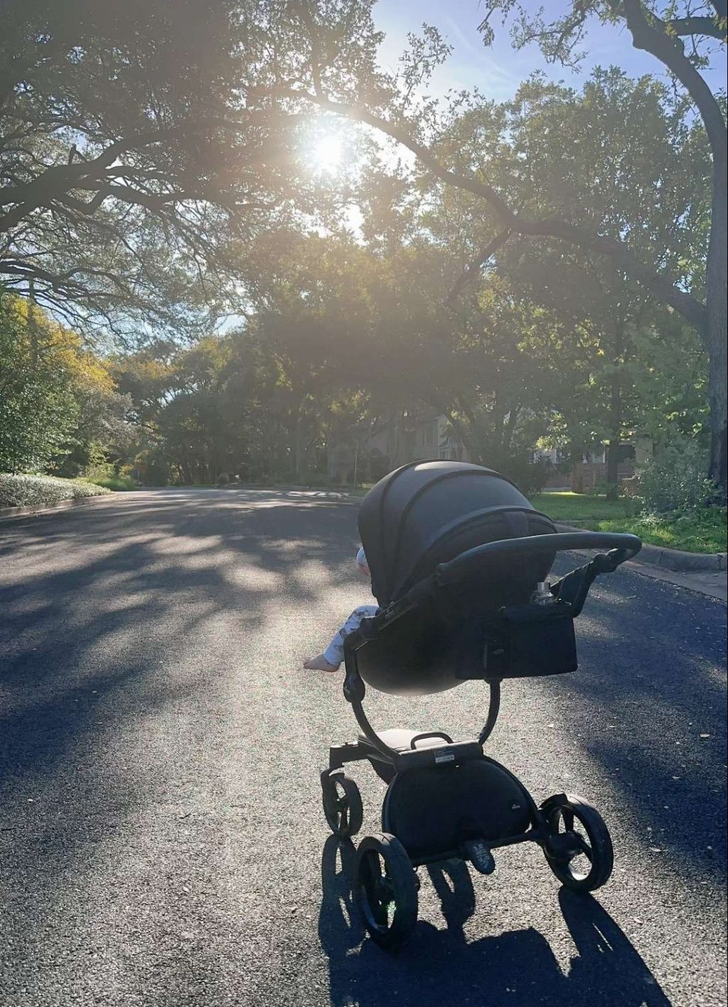 Soothing Playlist for Circadian Walks Soothing Playlist for Your Circadian Walks