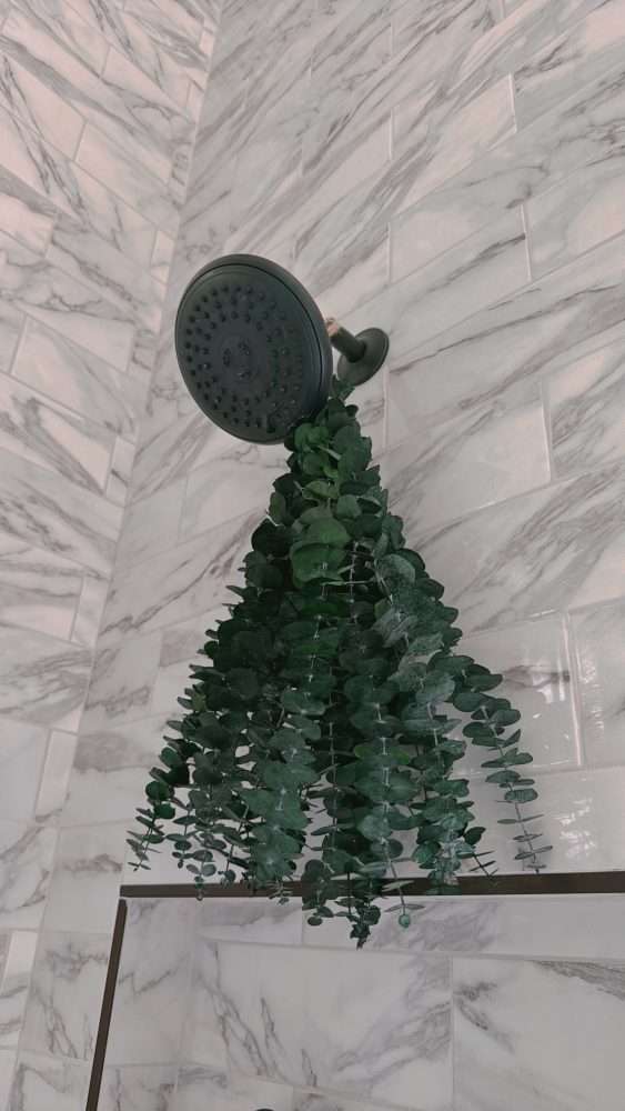 Eucalyptus in the Shower Eucalyptus in the Shower